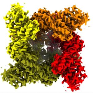 TRPM8